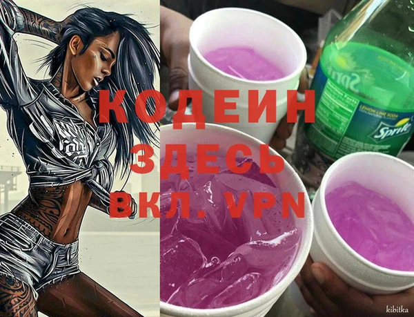 тгк Абаза