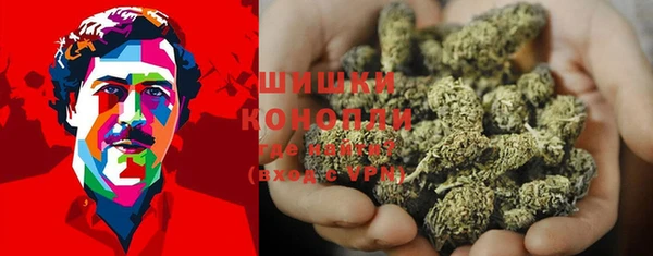 прущие грибы Надым