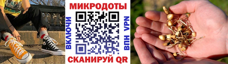 купить наркотики сайты  мега   Псилоцибиновые грибы мухоморы  Златоуст 